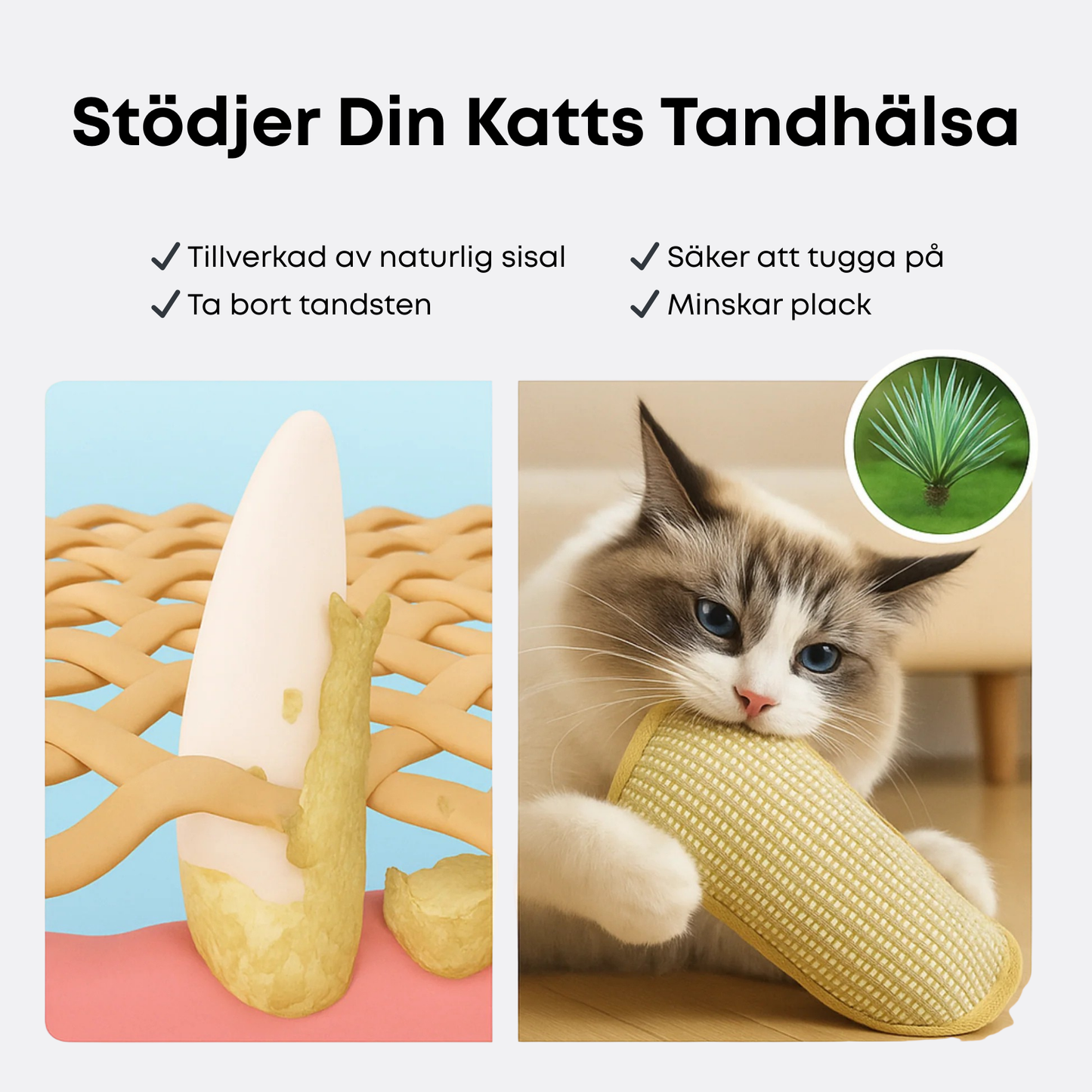 BiteBuff™ – Tuggleksak för kattens välmående