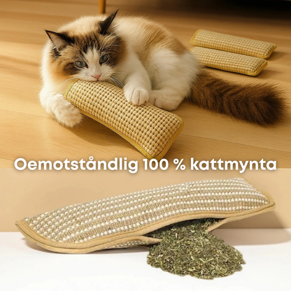 BiteBuff™ – Tuggleksak för kattens välmående