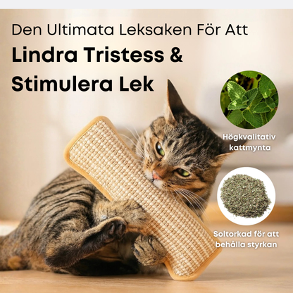 BiteBuff™ – Tuggleksak för kattens välmående